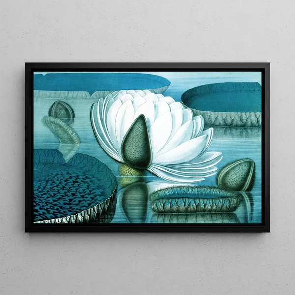 William Sharp - Waterlilies.webp