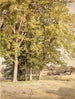 Ahorn i Chester County, Pennsylvania - William Trost Richards — visning af kunstværket