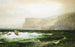 Côte de Tintagel - William Trost Richards — visning af kunstværket