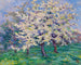 Pommier en fleurs - Willy Schlobach — visning af kunstværket