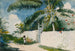 En have i Nassau - Winslow Homer — visning af kunstværket