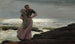 En lys over havet - Winslow Homer — visning af kunstværket