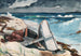 Efter orkanen Bahamas - Winslow Homer — visning af kunstværket