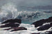 Côte du Maine - Winslow Homer — visning af kunstværket