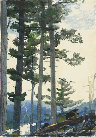 Winslow Homer - Old Settlers.webp
