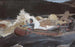 Descente des rapides, rivière Saguenay - Winslow Homer — visning af kunstværket