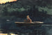 L'essor - Winslow Homer — visning af kunstværket