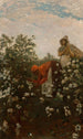Coton des hautes terres - Winslow Homer — visning af kunstværket
