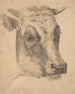Tête de vache - Wouter Johannes van Troostwijk — visning af kunstværket