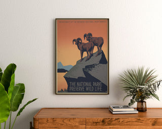 Vintage plakat National Parks Preserve Wild Life, indrammet over en kommode i træ mellem planter.