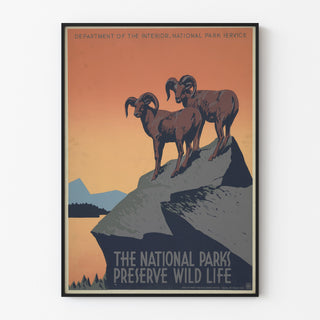 Vintage plakat National Parks Preserve Wild Life, vist i en tynd ramme på en lys væg.