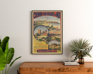 Vintage-plakat Pyrénées og Gascogne, vintersæson, indrammet over en trækommode mellem planter.