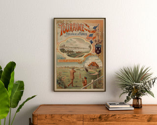 Vintage plakat Touraine, Frankrigs have, indrammet over en trækommode mellem planter.