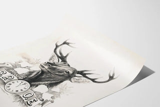 b-p-o-e-benevolent-and-protective-order-of-elks