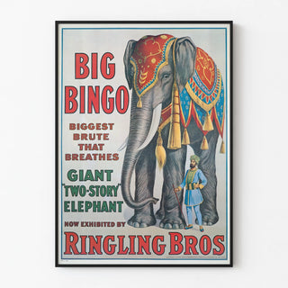 big-bingo