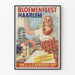 Vintage plakat Bloemenfeest Haarlem 1947 vægdekoration