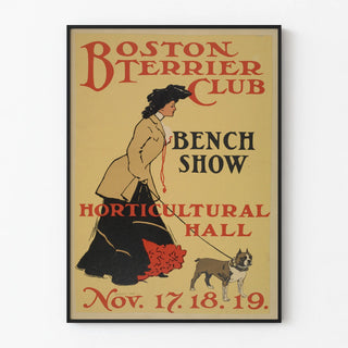 boston-terrier-club