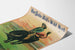 Vintage plakat Buffalo Bill's Wild West - Vildtyr