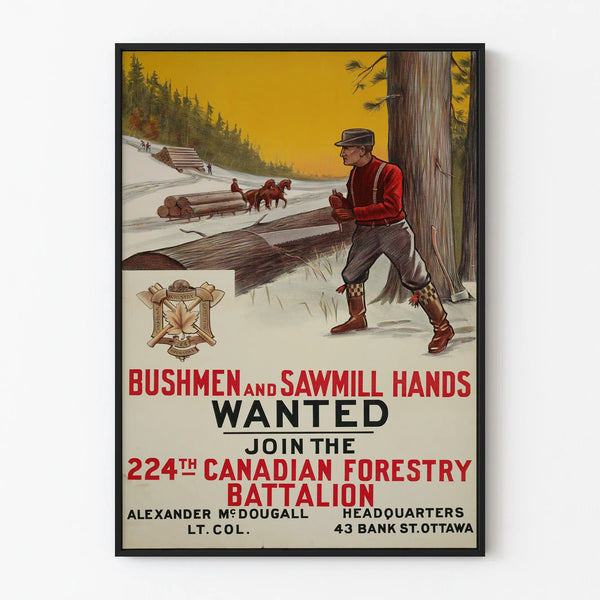 bushmen-and-sawmill-hands-wanted-join-the-224th-canadian-forestry-battalion