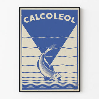 calcoleol-2