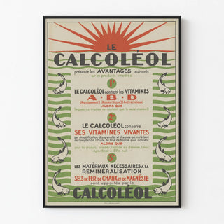 calcoleol-3