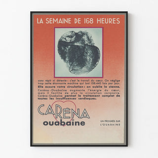 carena-ouabaine