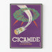 Vintage plakat Cicamide Sårhelende pulver
