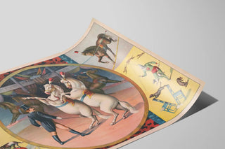 circus-horses-and-trainer