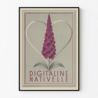 digitaline-nativelle