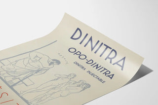 dinitra-6