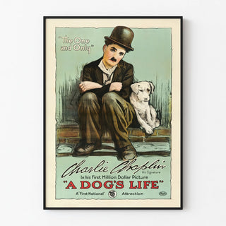 dogs-life