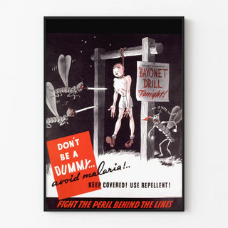 dont-be-a-dummy-avoid-malaria