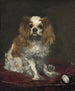 En king charles spaniel - Édouard Manet — visning af kunstværket