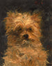 Tête du chien Bob - Édouard Manet — visning af kunstværket