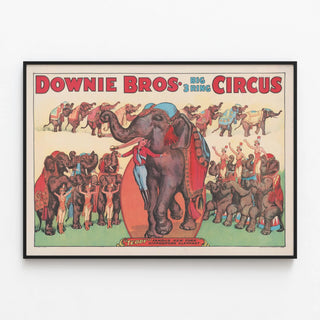 downie-bros-big-3-ring-circus-teddy-famous-new-york-hippodrome-elephant