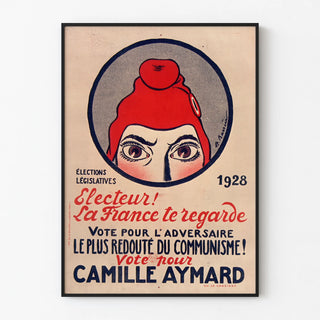 electeur-la-france-te-regarde