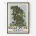 Vintage plakat Eucalyptine Le Brun - Naturlig vægdekoration