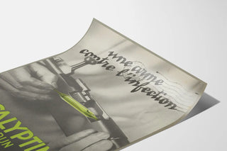 eucalyptine-le-brun-4