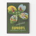 Vintage plakat Euphoryl desensibilisering alsidig