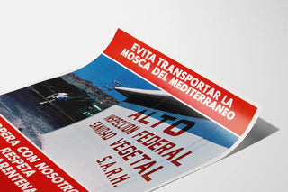 evita-transportar-la-mosca-mediterraneo