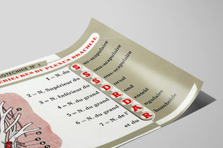 fiche-de-mnemotechnie-no-1