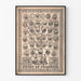Vintageplakat Fruit of Freedom - Træet af De Forenede Stater og deres symboler