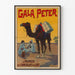 Vintage plakat af Gala Peter Mælkechokolade med kamel