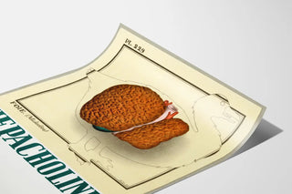 Vintage medicinsk plakat med illustration af leverhepatisk