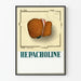 Vintage medicinsk plakat med illustration af leverhepatisk