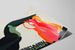 Vintage plakat Hermanns & Froitzheim med toucan og livlige farver — visning af kunstværket