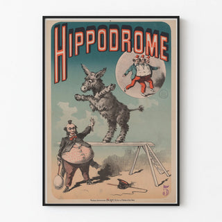 hippodrome-ane-acrobate