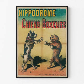 hippodrome-chiens-boxeurs