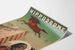 Plakat Hippodrome Merveille Hest Springende og Mand Bjørn