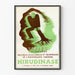 Vintage plakat med Hirudinase til venøse problemer